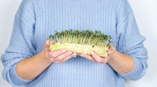 Broccoli Sprouts for Moms: The Secret to Better Nutrition with Sulforaphane